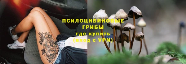 спайс Аркадак