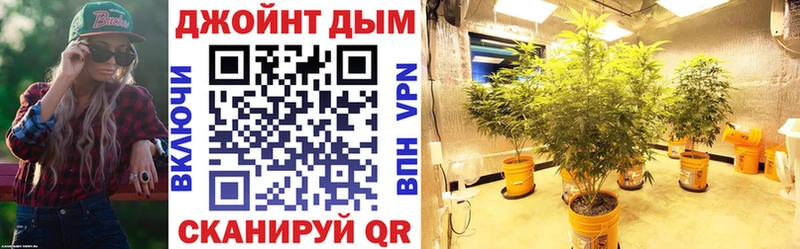 купить   Тимашёвск  МАРИХУАНА сатива 